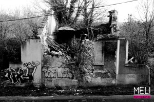 Vieux Pays, goussainville