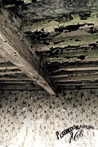 Urbex