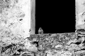 Urbex